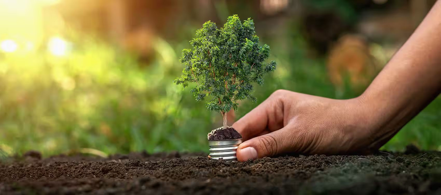 GMP: costruire oggi un futuro sostenibile